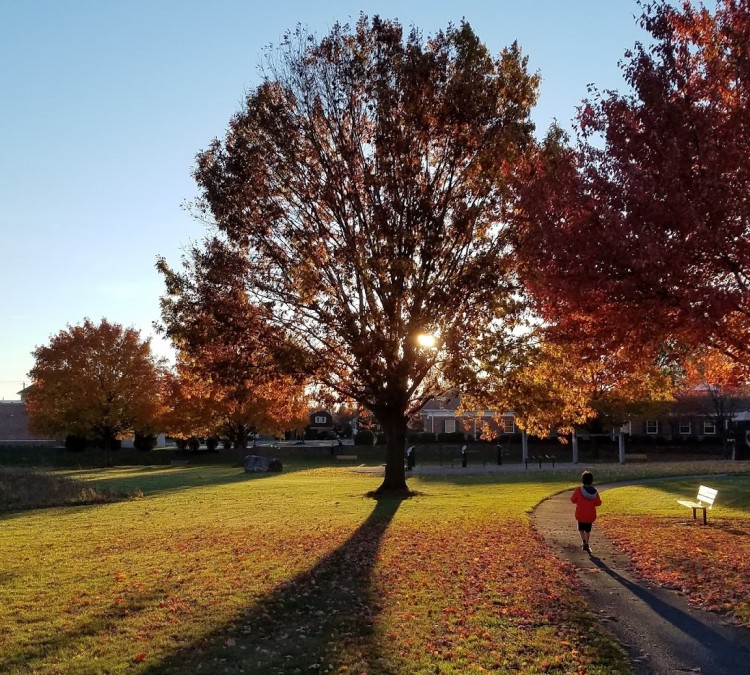 east-petersburg-community-fitness-park-photo